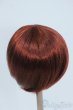 画像2: 9-10inch/ウィッグ Y-25-06-25-082-YD-ZY (2)