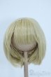 画像1: 9-10inch/ウィッグ Y-25-06-25-261-YD-ZY (1)