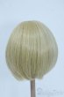 画像2: 9-10inch/ウィッグ Y-25-06-25-261-YD-ZY (2)