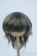 画像1: 8-9inch/ウィッグ Y-25-07-02-019-YD-ZY (1)