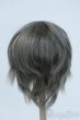 画像2: 8-9inch/ウィッグ Y-25-07-02-019-YD-ZY (2)