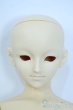 画像1: SD13BOY/フルチョイス:F-29 Y-25-07-02-005-YD-ZY (1)