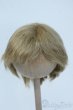 画像1: 8-9inch/ウィッグ Y-25-07-02-021-YD-ZY (1)