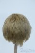 画像2: 8-9inch/ウィッグ Y-25-07-02-021-YD-ZY (2)