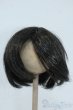 画像1: 9-10inch/ウィッグ Y-25-07-09-139-YD-ZY (1)