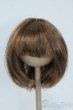 画像1: 9-10inch/ウィッグ Y-25-07-09-142-YD-ZY (1)