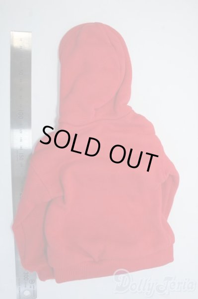 画像2: SD/OF:パーカー Y-25-07-09-186-YD-ZY (2)