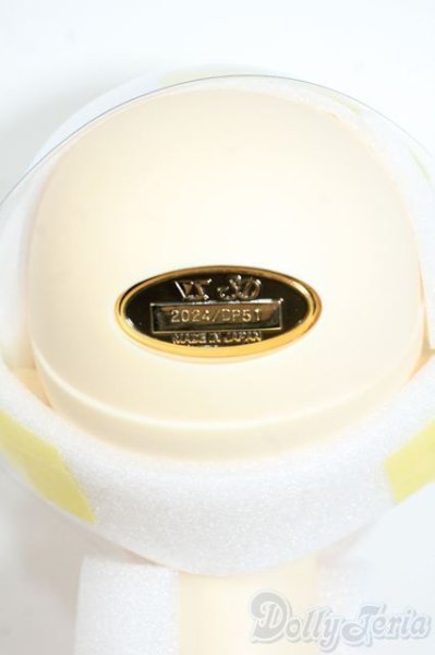 画像5: SDBOY/リゲル 星間学寮ver. Y-25-09-03-295-YD-ZY (5)