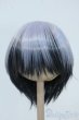 画像1: 8-9inch/ウィッグ Y-25-07-16-109-YD-ZY (1)