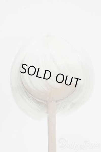 画像1: 9inch/ウィッグ　MIMIEL様製 Y-25-12-10-294-YD-ZY (1)