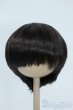 画像1: 8-9inch/ウィッグ Y-25-07-16-140-YD-ZY (1)