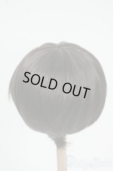 画像2: 8-9inch/ウィッグ Y-25-12-17-172-YD-ZY (2)