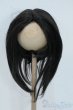 画像1: 8-9inch/ウィッグ Y-25-07-16-139-YD-ZY (1)