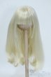 画像1: 6-7inch/ウィッグ Y-25-07-16-122-YD-ZY (1)