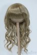 画像1: 7-8inch/ウィッグ Y-25-07-30-054-YD-ZY (1)