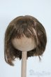 画像1: 7-8inch/ウィッグ Y-25-07-30-127-YD-ZY (1)