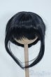 画像1: 8-9inch/ウィッグ Y-25-08-06-050-YD-ZY (1)