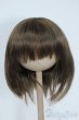 画像1: 8-9inch/ウィッグ Y-25-08-06-053-YD-ZY (1)