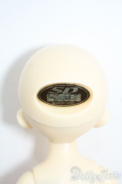 画像7: 幼天使/ひなた Y-25-08-06-038-YD-ZY (7)