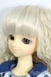 画像3: MSD/ミュウ Y-25-08-06-039-YD-ZY (3)