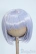 画像1: 8-9inch/ウィッグ Y-25-08-06-220-YD-ZY (1)