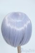 画像2: 8-9inch/ウィッグ Y-25-08-06-220-YD-ZY (2)