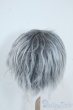 画像2: 9-10inch/ウィッグ Y-25-08-13-122-YD-ZY (2)