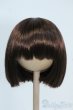 画像1: 8-9inch/ウィッグ Y-25-08-13-124-YD-ZY (1)