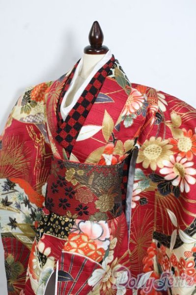 画像3: MSD/OF:着物セット:緋色の月蝕製 Y-25-08-13-173-YD-ZY (3)