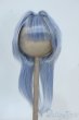 画像1: 9-10inch/ウィッグ Y-25-08-13-218-YD-ZY (1)