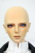 画像1: TelesthesiaDoll/?? Y-26-06-16-002-YD-ZY (1)