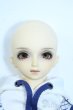 画像6: SDMBOY/フルチョイスF-36 Y-25-08-20-094-YD-ZY (6)