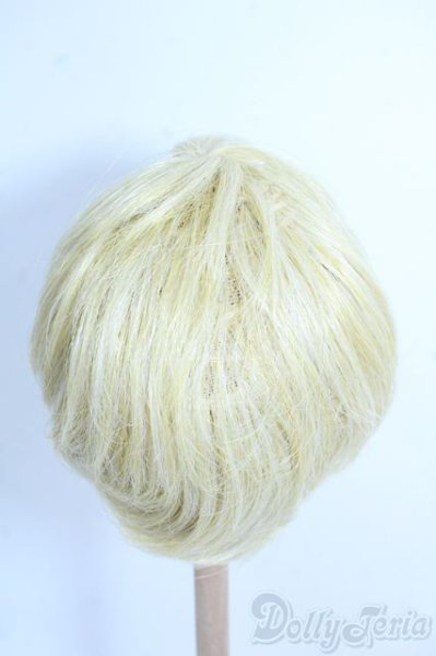 画像2: 8-9inch/ウィッグ Y-25-08-20-127-YD-ZY (2)
