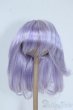 画像1: 8inch/ウィッグ Y-25-08-27-166-YD-ZY (1)