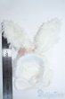 画像3: SD/OF:小物 Y-25-09-03-246-YD-ZY (3)