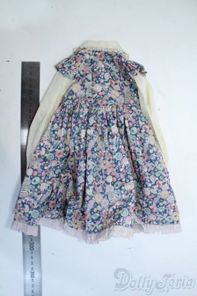 画像2: SDGR/OF：ワンピース Y-25-09-03-227-YD-ZY (2)