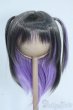 画像1: 8-9inch/ウィッグ Y-25-09-10-038-YD-ZY (1)