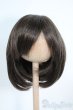 画像1: 7-8inch/ウィッグ Y-25-09-10-165-YD-ZY (1)
