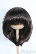 画像1: 8-9inch/ウィッグ Y-25-09-10-176-YD-ZY (1)
