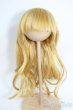 画像1: 8-9inch/ウィッグ Y-25-09-10-180-YD-ZY (1)