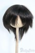 画像1: 8-9inch/ウィッグ Y-25-09-10-174-YD-ZY (1)