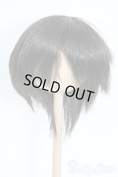 画像1: 8-9inch/ウィッグ Y-25-09-10-174-YD-ZY (1)