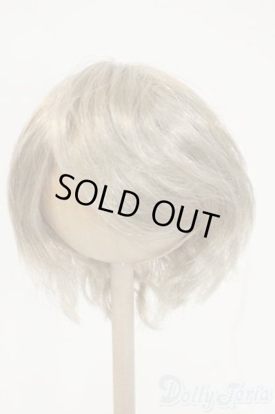 画像1: 8-9inch/ウィッグ Y-26-02-04-201-YD-ZY (1)