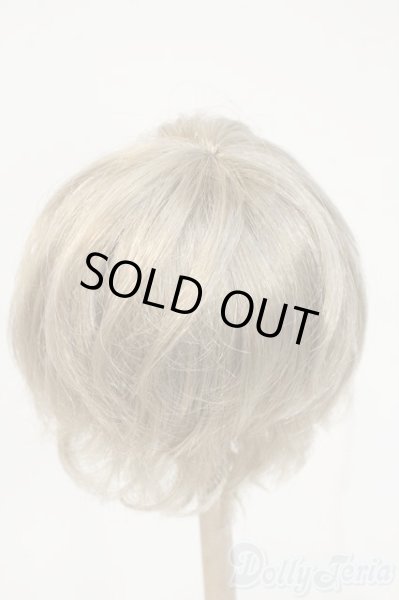 画像2: 8-9inch/ウィッグ Y-26-02-04-201-YD-ZY (2)