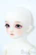画像4: SDM女の子/ちよ:10周年記念Ver. Y-25-09-10-242-YD-ZY (4)
