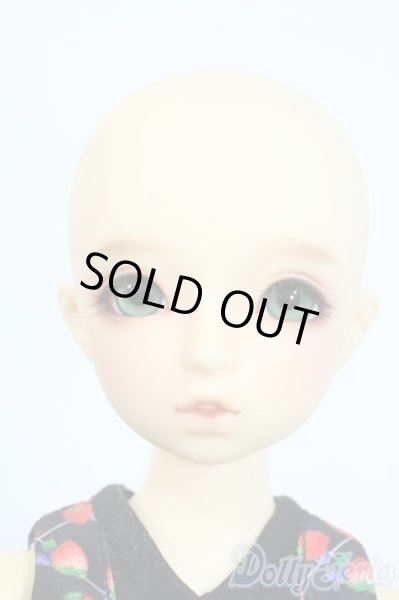 画像4: SDM女の子/まこ　スタンダードモデル Y-25-10-01-121-YD-ZY (4)