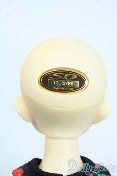 画像5: SDM女の子/まこ　スタンダードモデル Y-25-10-01-121-YD-ZY (5)