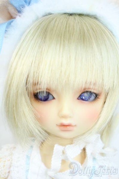 画像1: SDM/のあ:スタンダードモデル Y-25-10-01-120-YD-ZY (1)