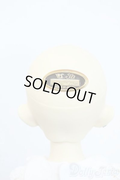 画像7: SDM/のあ:スタンダードモデル Y-25-10-01-120-YD-ZY (7)