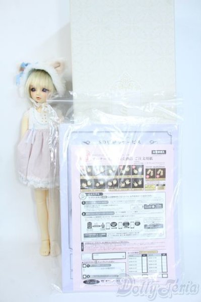 画像9: SDM/のあ:スタンダードモデル Y-25-10-01-120-YD-ZY (9)